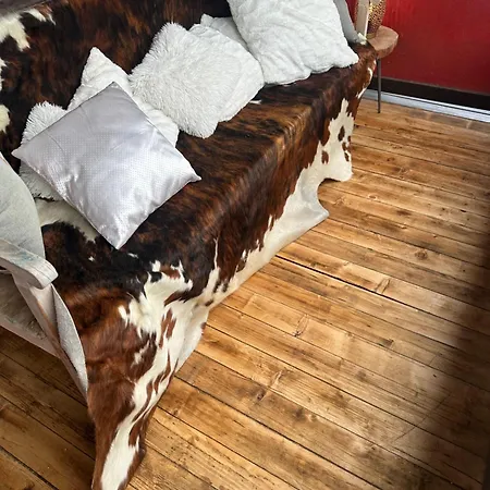 Kitzdesign In Kirchberg Lägenhet *